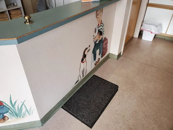 Mountain Shadows Pet Hospital 12