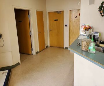 Mountain Shadows Pet Hospital