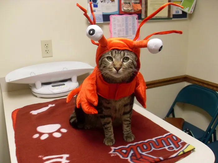 White Oaks West Animal Hospital 10