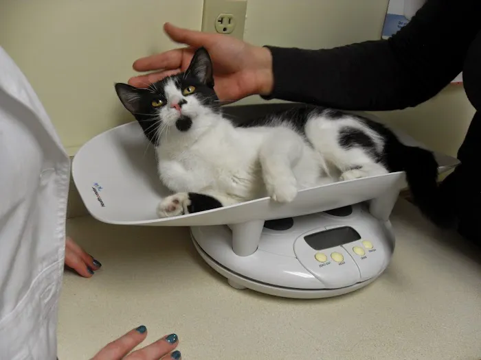White Oaks West Animal Hospital 8