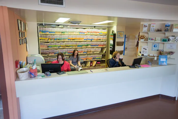Brewer Animal Hospital 12