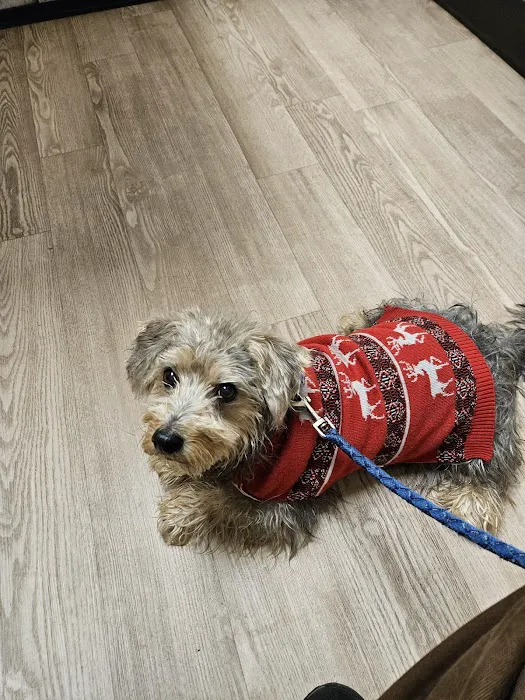 Brewer Animal Hospital 12