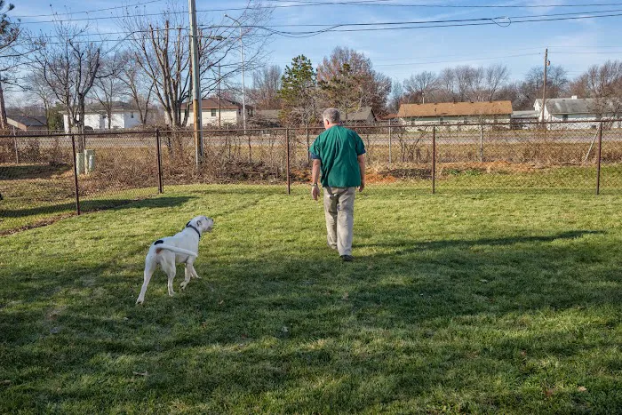 Brewer Animal Hospital 12