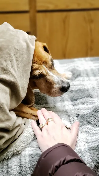 Brewer Animal Hospital 12