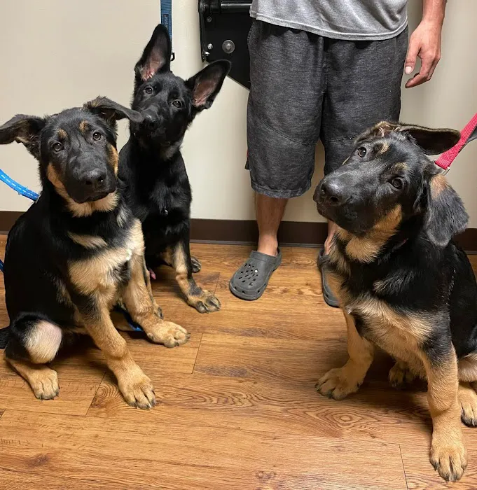 Myers Animal Clinic 12