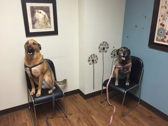 Myers Animal Clinic 12