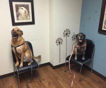 Myers Animal Clinic
