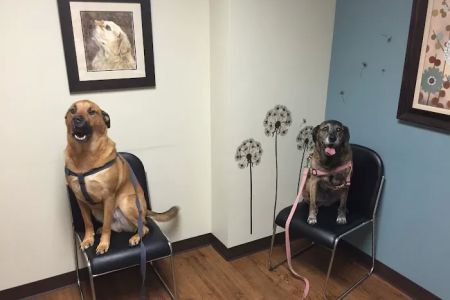 Myers Animal Clinic