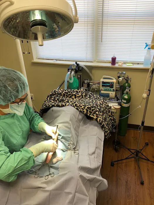 Myers Animal Clinic 12