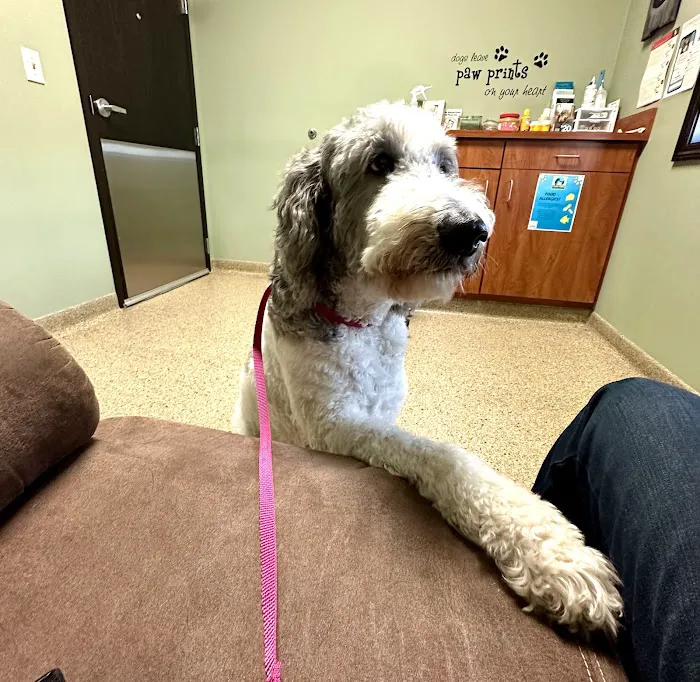 Green Prairie Animal Hospitals 12