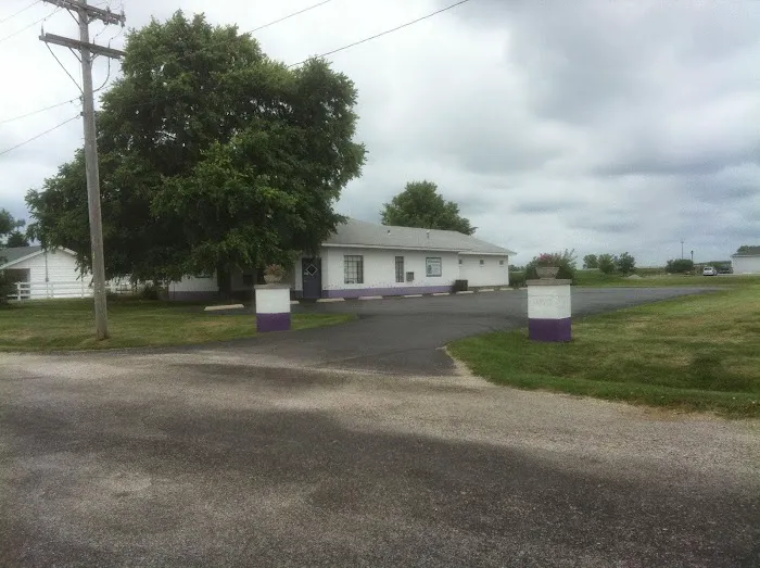 Williamsville Veterinary Clinic 12