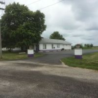 Williamsville Veterinary Clinic ico
