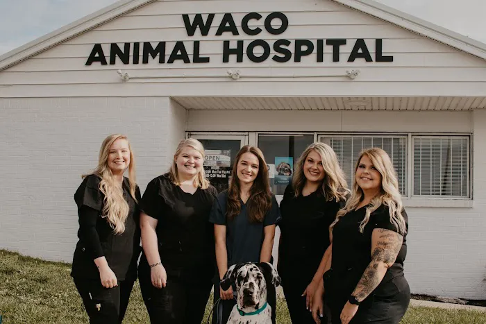 Waco Animal Hospital 2