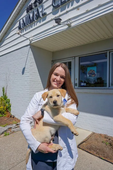 Waco Animal Hospital 3