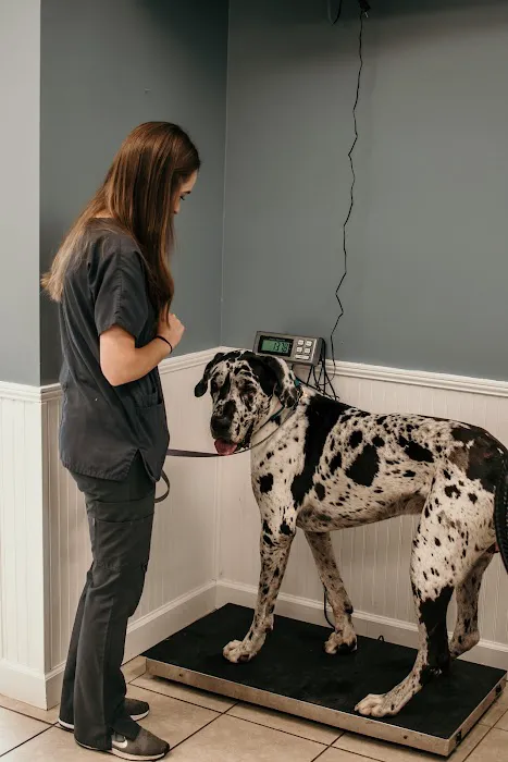 Waco Animal Hospital 5