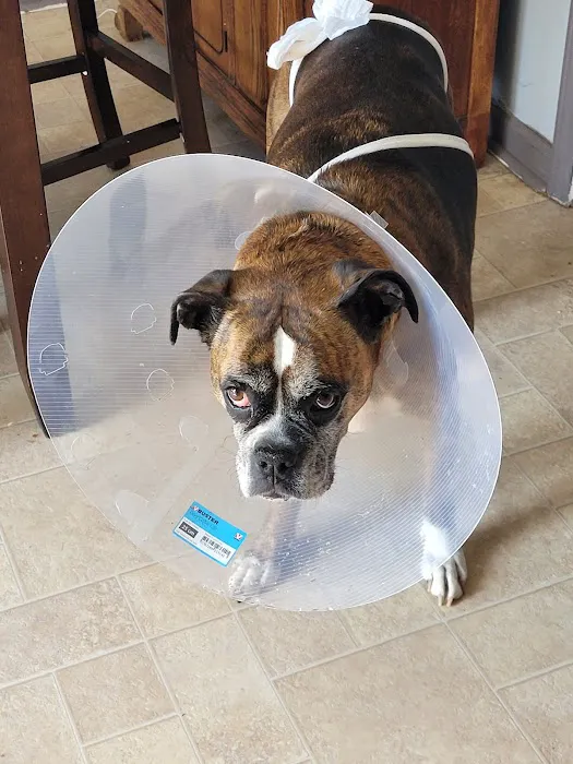Waco Animal Hospital 8
