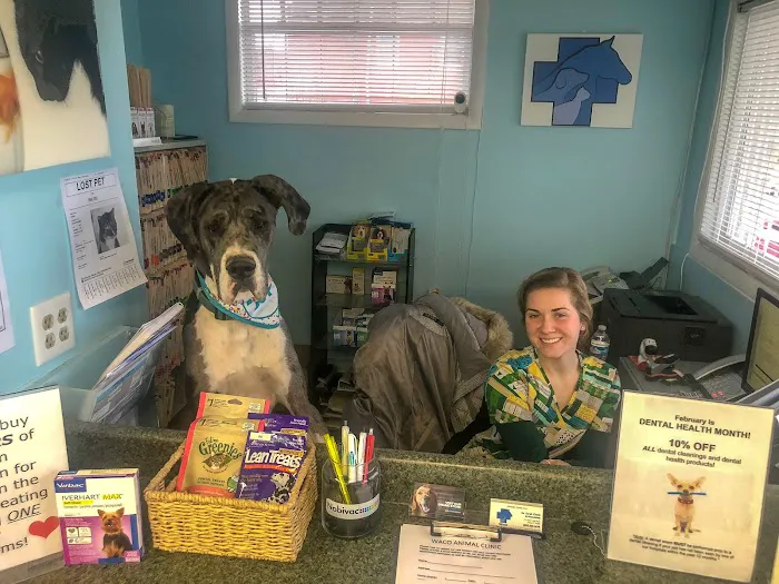Waco Animal Hospital 9