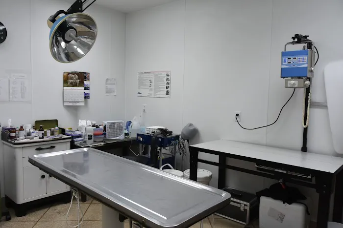 Animal Health Clinic 12