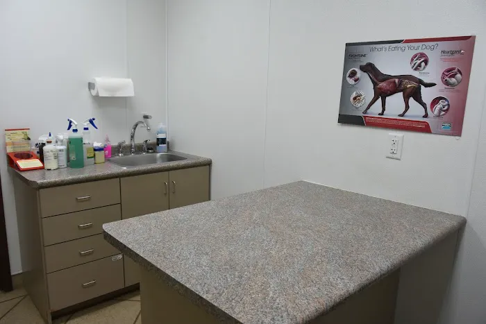 Animal Health Clinic 12