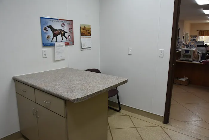 Animal Health Clinic 12