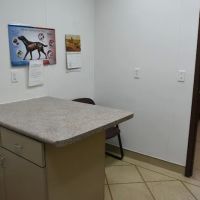 Animal Health Clinic ico