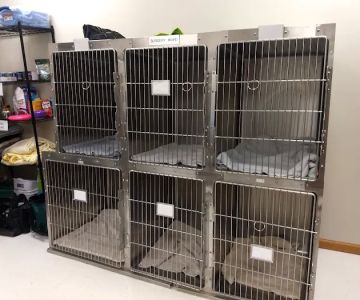 Dubuque County Veterinary Services