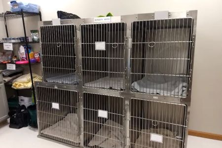 Dubuque County Veterinary Services