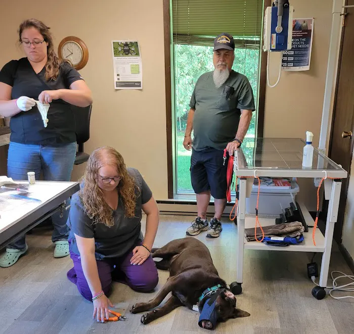 Valley Veterinary Clinic 12