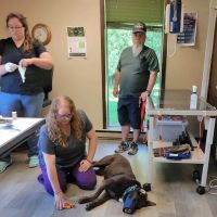 Valley Veterinary Clinic ico