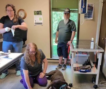 Valley Veterinary Clinic