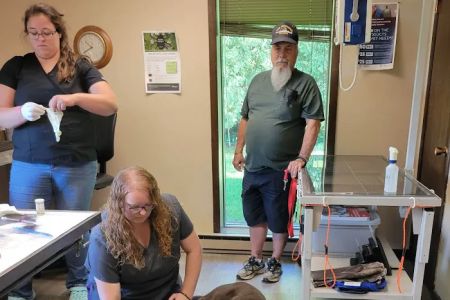 Valley Veterinary Clinic