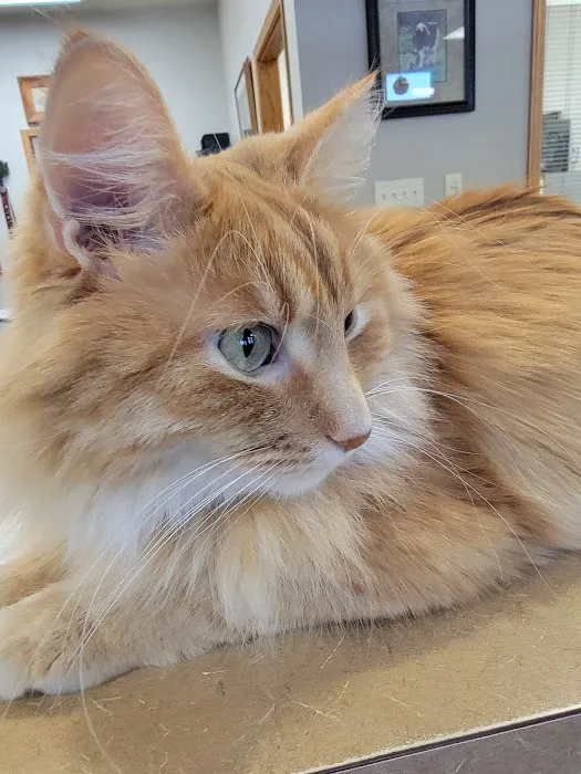 Postville Veterinary Clinic 2