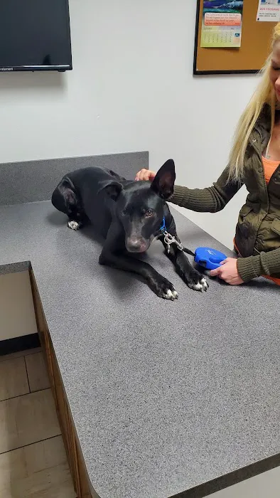 Manchester Animal Med Ctr 12