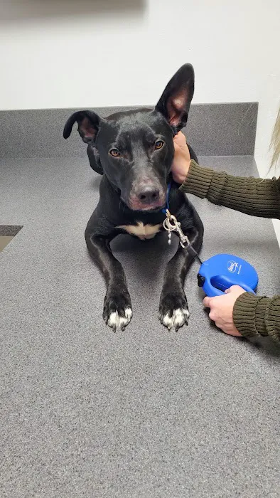 Manchester Animal Med Ctr 12