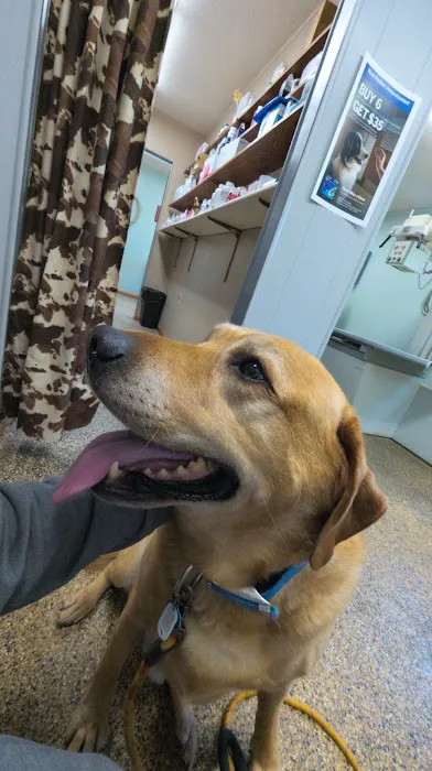 Monticello Veterinary Clinic 9