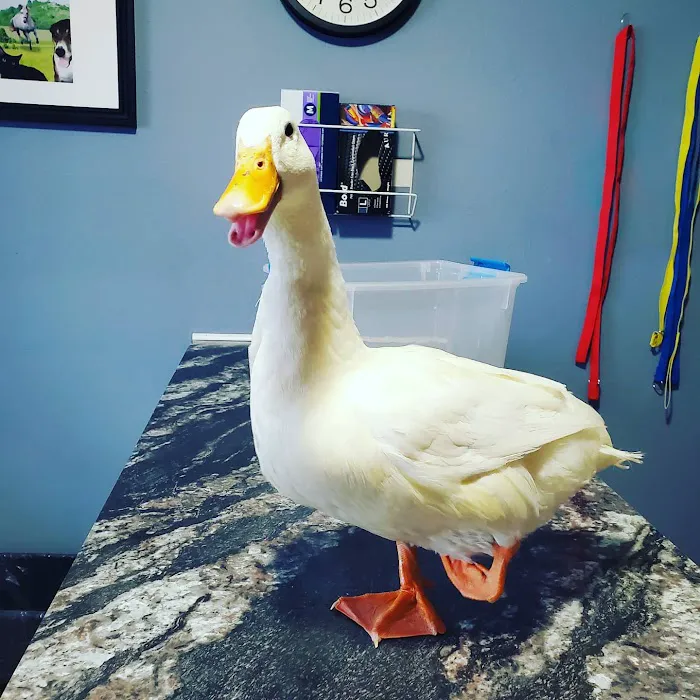 Hillcrest Veterinary Service 4