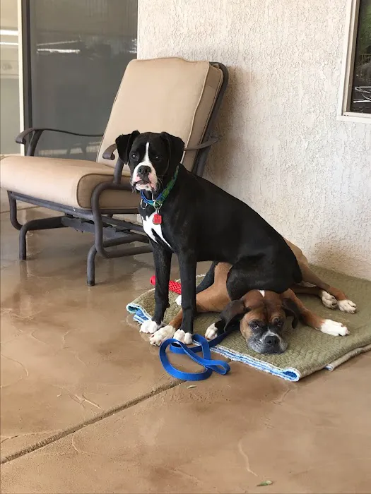 Hillcrest Veterinary Service 2
