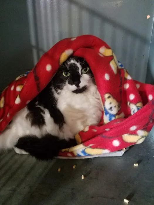 Hillcrest Veterinary Service 5