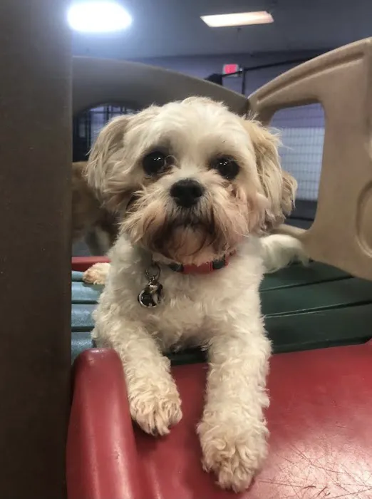 Best Friends Pet Clinic LLC 12