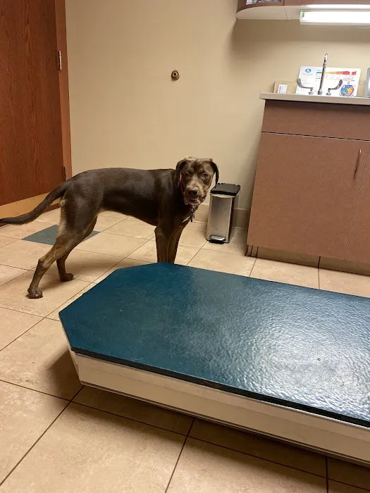 Companion Animal Care Center 12