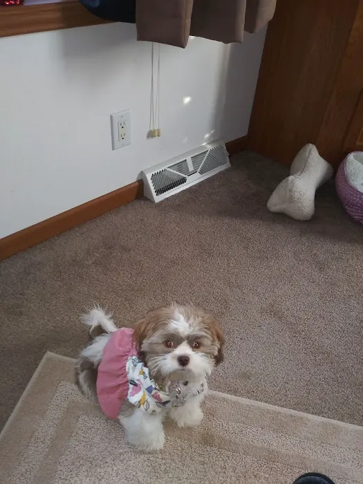 Companion Animal Care Center 12
