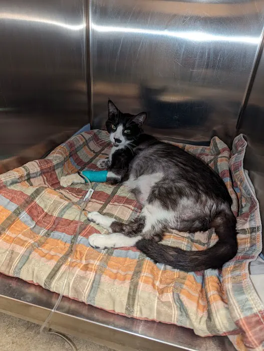 Companion Animal Care Center 12