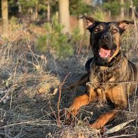 Specialized Veterinary Care of Shawano ico