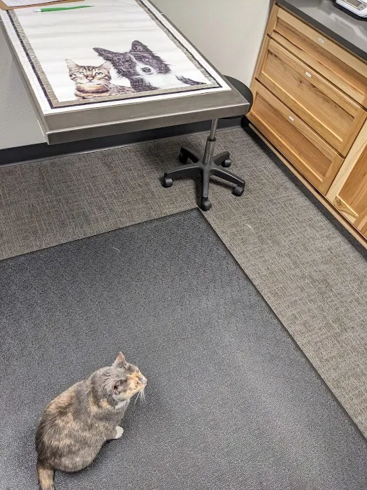 Specialized Veterinary Care of Shawano 12