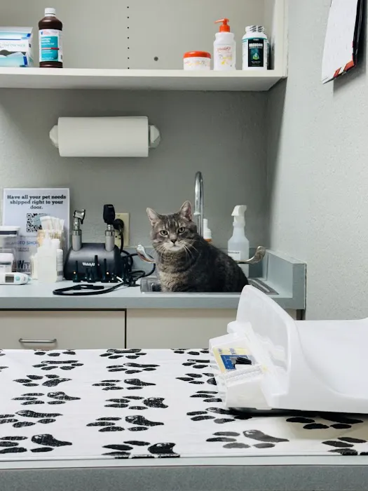 Wittenberg Vet Clinic Companion 12