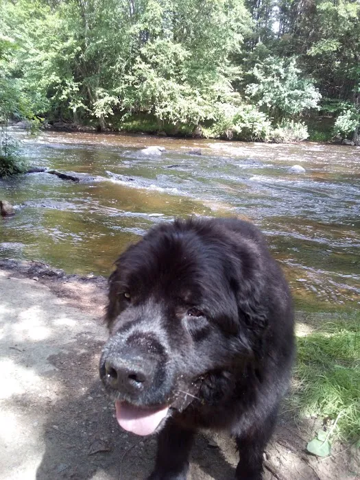Wittenberg Vet Clinic Companion 12