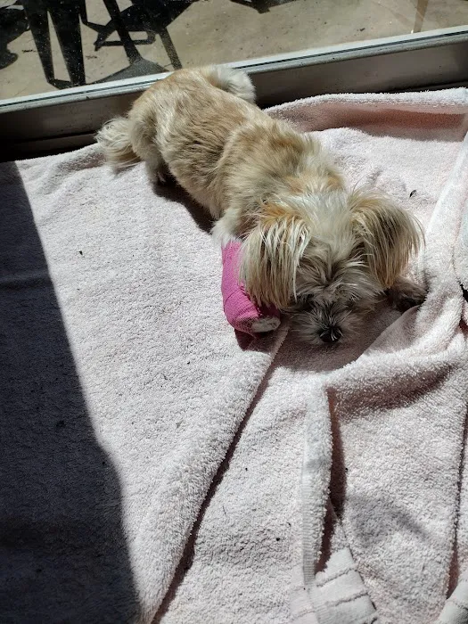 Castlerock Veterinary Hospital 7