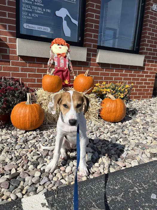 Castlerock Veterinary Hospital 2