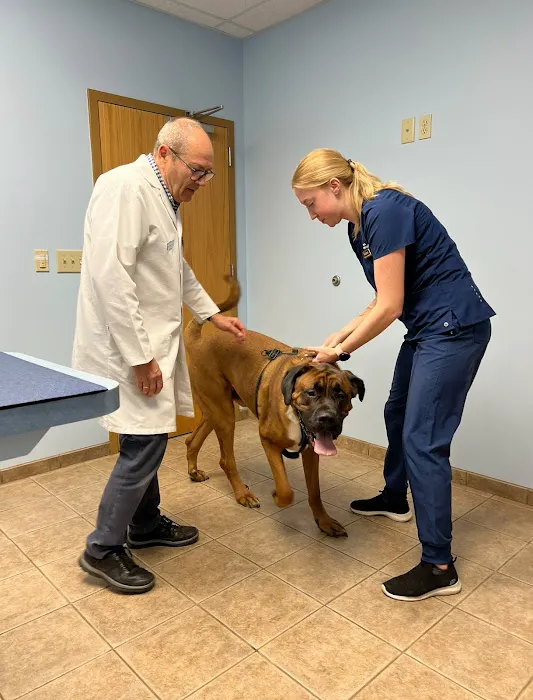 Castlerock Veterinary Hospital 5