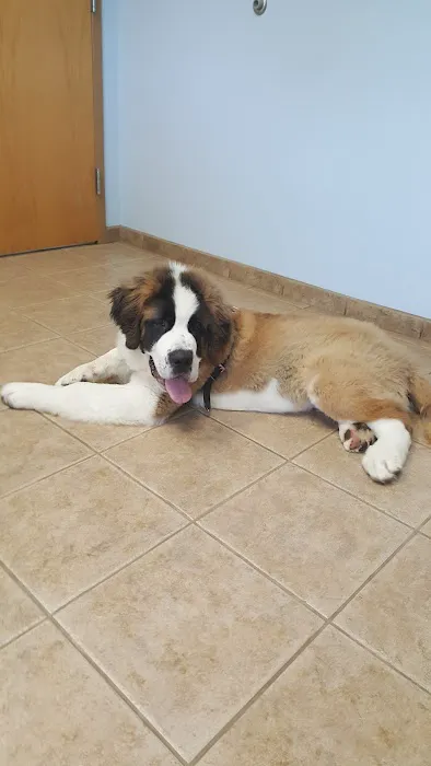Castlerock Veterinary Hospital 1